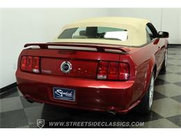 2006 Ford Mustang (CC-2105384) for sale in Lutz, Florida