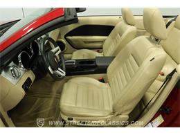 2006 Ford Mustang (CC-2105384) for sale in Lutz, Florida