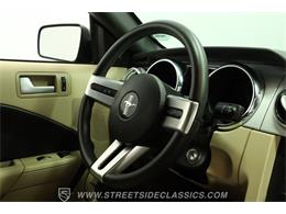 2006 Ford Mustang (CC-2105384) for sale in Lutz, Florida