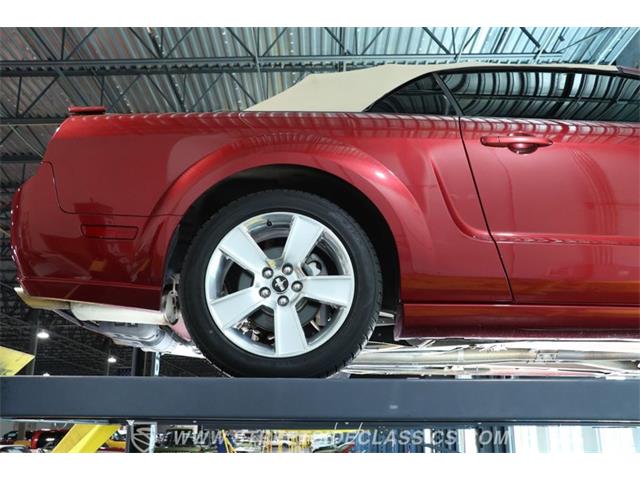 2006 Ford Mustang (CC-2105384) for sale in Lutz, Florida