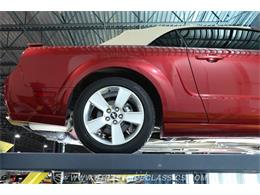 2006 Ford Mustang (CC-2105384) for sale in Lutz, Florida