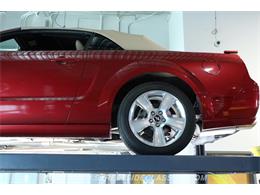 2006 Ford Mustang (CC-2105384) for sale in Lutz, Florida