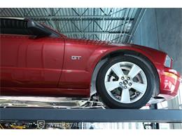 2006 Ford Mustang (CC-2105384) for sale in Lutz, Florida