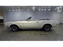 1973 Ford Mustang (CC-2105390) for sale in O'Fallon, Illinois