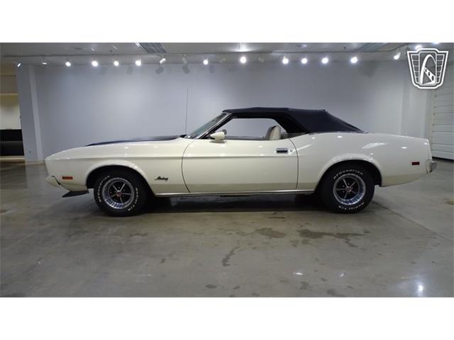 1973 Ford Mustang (CC-2105390) for sale in O'Fallon, Illinois