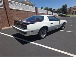 1985 Pontiac Firebird (CC-2105397) for sale in Cadillac, Michigan