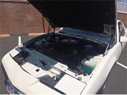 1985 Pontiac Firebird (CC-2105397) for sale in Cadillac, Michigan