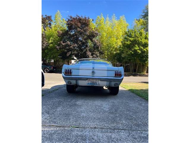 1965 Ford Mustang (CC-2105398) for sale in Cadillac, Michigan