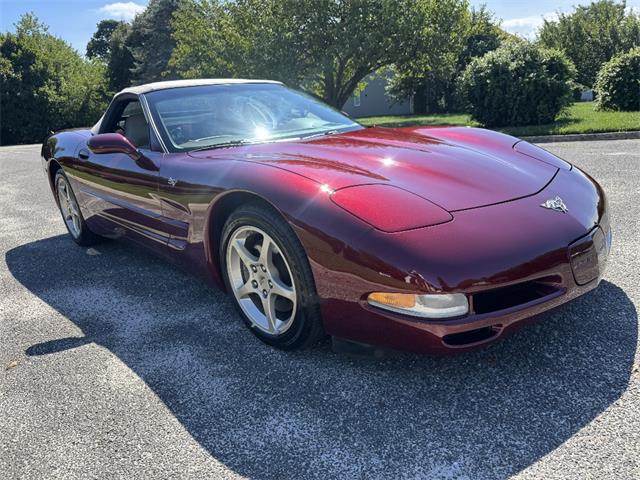 2003 Chevrolet Corvette (CC-2105419) for sale in Saratoga Springs, New York