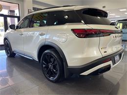 2025 Infiniti QX60 (CC-2105444) for sale in Jacksonville, Florida