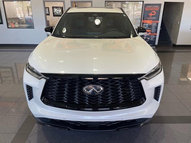 2025 Infiniti QX60 (CC-2105444) for sale in Jacksonville, Florida