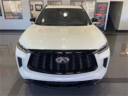 2025 Infiniti QX60 (CC-2105444) for sale in Jacksonville, Florida