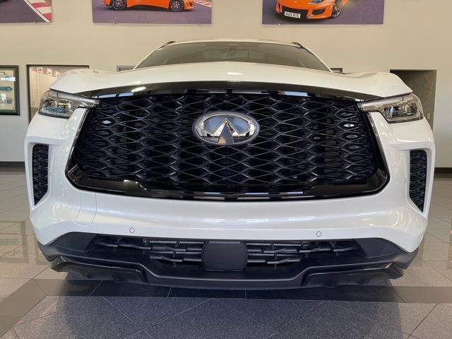 2025 Infiniti QX60 (CC-2105444) for sale in Jacksonville, Florida