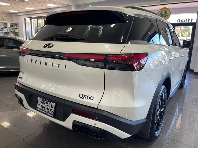 2025 Infiniti QX60 (CC-2105444) for sale in Jacksonville, Florida