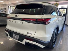 2025 Infiniti QX60 (CC-2105444) for sale in Jacksonville, Florida