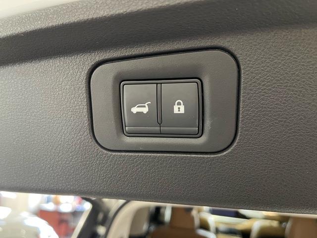 2025 Infiniti QX80 (CC-2105445) for sale in Jacksonville, Florida