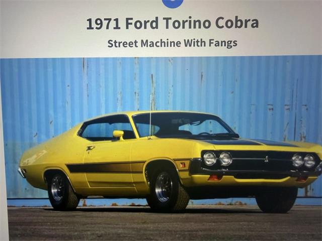 1971 Ford Cobra (CC-2100555) for sale in Effingham, Illinois