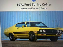 1971 Ford Cobra (CC-2100555) for sale in Effingham, Illinois