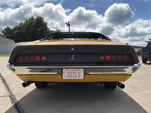 1971 Ford Cobra (CC-2100555) for sale in Effingham, Illinois
