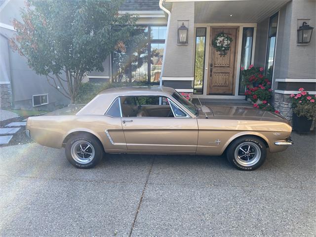 1965 Ford Mustang (CC-2105554) for sale in Calgary, Alberta