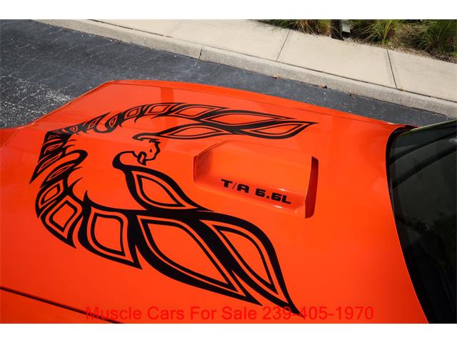 1980 Pontiac Firebird Trans Am (CC-2100560) for sale in Fort Myers, Florida