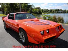 1980 Pontiac Firebird Trans Am (CC-2100560) for sale in Fort Myers, Florida
