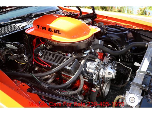 1980 Pontiac Firebird Trans Am (CC-2100560) for sale in Fort Myers, Florida