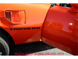 1980 Pontiac Firebird Trans Am (CC-2100560) for sale in Fort Myers, Florida