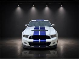 2014 Ford Shelby GT500  (CC-2105606) for sale in Olathe, Kansas