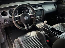 2014 Ford Shelby GT500  (CC-2105606) for sale in Olathe, Kansas