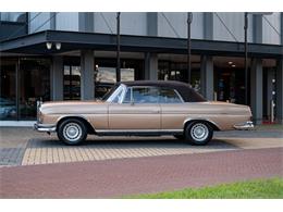 1963 Mercedes-Benz 220 (CC-2105659) for sale in Katwijk, Netherlands
