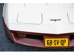 1981 Chevrolet Corvette (CC-2105661) for sale in Katwijk, Netherlands