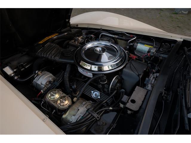 1981 Chevrolet Corvette (CC-2105661) for sale in Katwijk, Netherlands