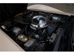 1981 Chevrolet Corvette (CC-2105661) for sale in Katwijk, Netherlands