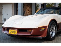 1981 Chevrolet Corvette (CC-2105661) for sale in Katwijk, Netherlands