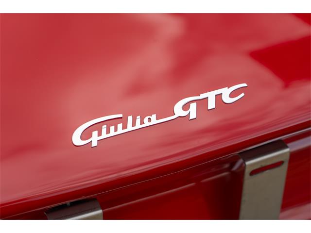 1965 Alfa Romeo Giulia (CC-2105663) for sale in Katwijk, Netherlands