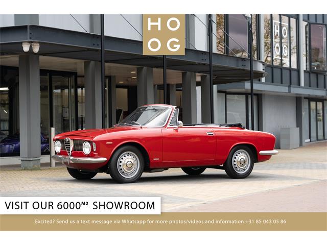 1965 Alfa Romeo Giulia (CC-2105663) for sale in Katwijk, Netherlands