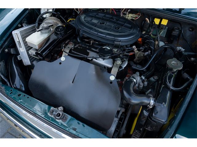 1994 Rover Mini (CC-2105664) for sale in Katwijk, Netherlands