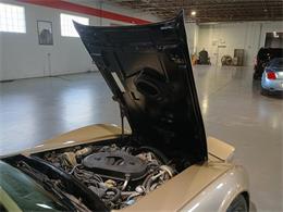 1982 Chevrolet Corvette (CC-2100057) for sale in Boca Raton, Florida