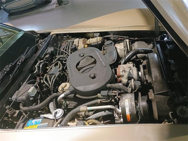 1982 Chevrolet Corvette (CC-2100057) for sale in Boca Raton, Florida