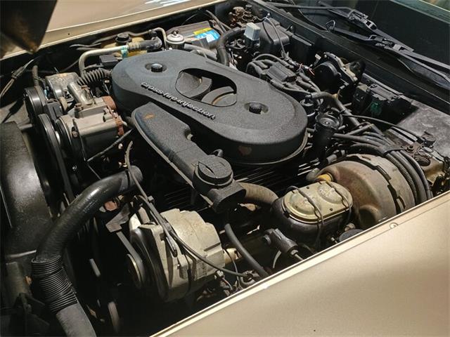 1982 Chevrolet Corvette (CC-2100057) for sale in Boca Raton, Florida