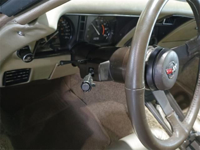 1982 Chevrolet Corvette (CC-2100057) for sale in Boca Raton, Florida