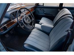 1966 Mercedes-Benz 250 (CC-2105706) for sale in Katwijk, Netherlands