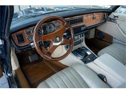 1976 Jaguar XJ (CC-2105741) for sale in Katwijk, Netherlands