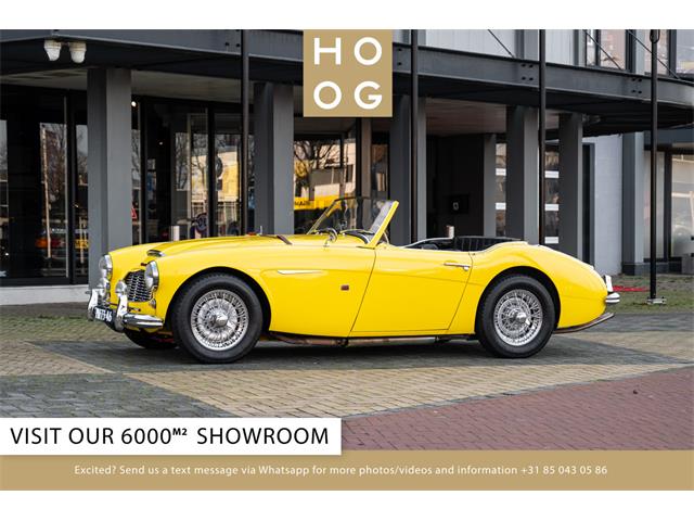 1957 Austin-Healey 100-6 (CC-2105746) for sale in Katwijk, Netherlands