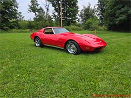 1974 Chevrolet Corvette (CC-2105758) for sale in MARTINSBURG, Pennsylvania