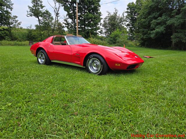 1974 Chevrolet Corvette (CC-2105758) for sale in MARTINSBURG, Pennsylvania