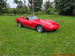 1974 Chevrolet Corvette (CC-2105758) for sale in MARTINSBURG, Pennsylvania