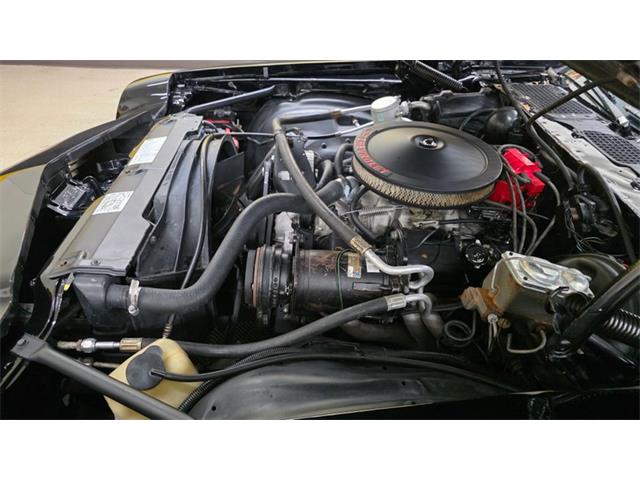 1980 Chevrolet Camaro Z28 (CC-2105825) for sale in Mankato, Minnesota