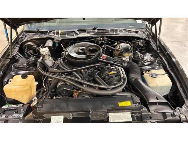 1984 Pontiac Firebird (CC-2105831) for sale in Mankato, Minnesota